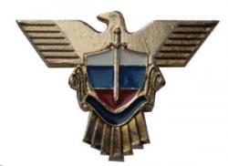 Эмблема петличная Спецсвязь, металл (1шт. Правая)