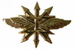 Эмблема петличная Войска связи, нового образца, золотая, металл (пара)