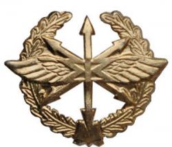 Эмблема петличная Войска связи, старого образца, золотая, металл (пара)