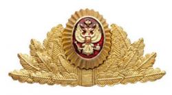 Кокарда Налоговой полиции, большая (металл)