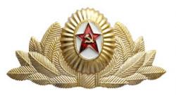 Кокарда СА генеральская (металл)