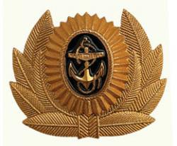 Кокарда ВМФ РФ, мичман (металл)