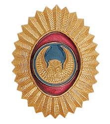 Кокарда ВОХР, сова (металл)